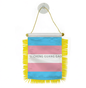 Drapeau de voiture à ventouse suspendu, série arc-en-ciel, design <span class=keywords><strong>LGBT</strong></span> (Lindsay Design), mini-drapeau transgenre personnalisé, best-seller - Product Image 2