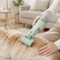 Aspirateur pour animaux de compagnie sans fil portable 70W silencieux en acier inoxydable, chargeur USB Type-C, peignes automatiques pour kit de toilettage des chats et des chiens