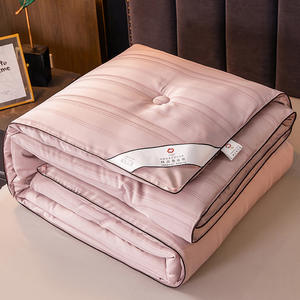 Yongho Europa Groothandel Moerbei Zijden Hoes Dekbed Super Verdikte Jacquard Gewatteerde Geborduurde Deken Voor Hotel - Product Image 5