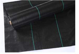 Toile de paillage anti-herbe pour vergers biologiques, couverture de <span class=keywords><strong>sol</strong></span> agricole en PP pour la culture des myrtilles - Product Image 4