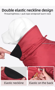 Veste pour <span class=keywords><strong>chien</strong></span> en coton épais, coupe-vent, réfléchissante, chaude, automne-hiver, pour bouledogue, labrador, yorkie français, vêtements pour chiens - Product Image 6