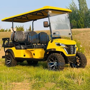 Voiturette de golf électrique professionnelle chinoise EGO à 4 roues en acier, batterie au plomb-acide, prix compétitifs, transport spécial - Product Image 3