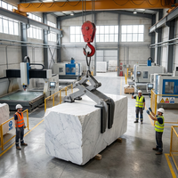 Sling de levage industriel pour pierres, dalles de granit et de marbre, capacité 1000 kg, élévateur de plaques robuste en acier inoxydable haute résistance avec caoutchouc noir