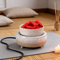 Diffuseur de cire électrique en céramique pour la maison, brûleur de cire parfumée pour aromathérapie, cubes de cire parfumés, cadeau décoratif