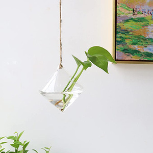 Conteneur de terrarium en verre suspendu pour plantes, idéal pour la propagation hydroponique, la décoration de jardin domestique et les boules de mariage (Dropshipping) - Product Image 5