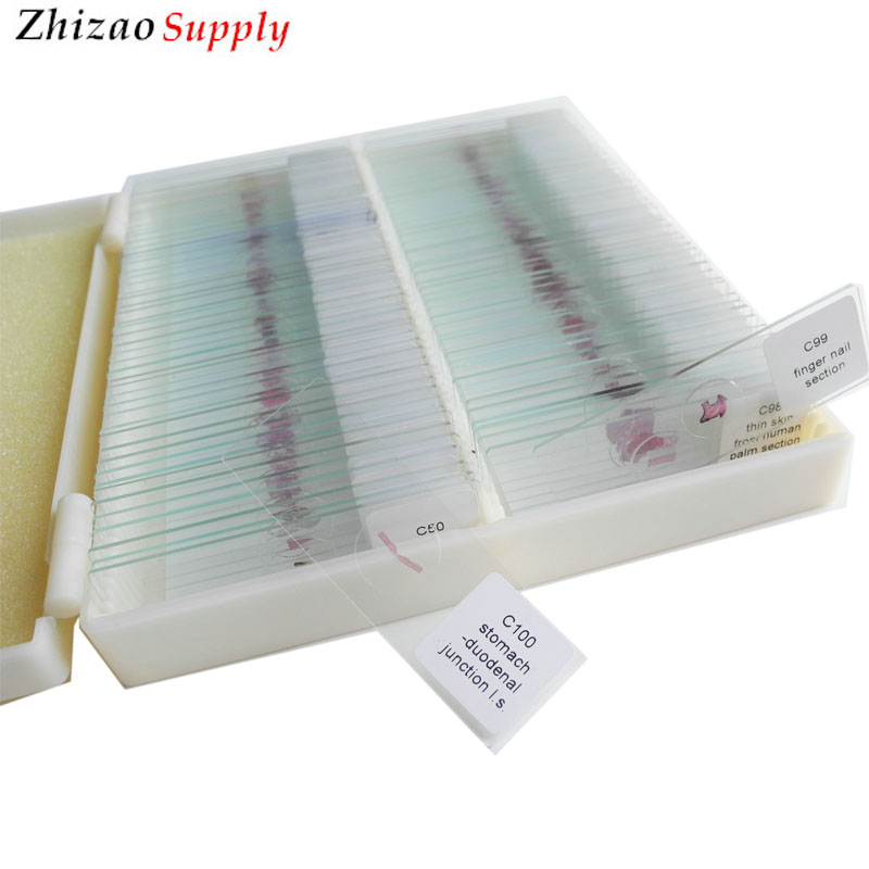 Офисная мебель из твердой древесины с английским шаром, домашняя мебель в европейском стиле, ретро-печать, образовательные ресурсы, шар из ПВХ