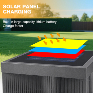 Lámpara de Poste LED para Exteriores OEM, Impermeable IP65, Acero Inoxidable 304, 1W, para Patio, Paisajes, Lugares Escénicos, Energía <span class=keywords><strong>Solar</strong></span>, Garantía de 5 Años - Product Image 4