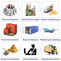 Expédition rapide DDP Europe Allemagne Royaume-Uni Italie Espagne Hambourg Anvers Transitaire maritime DDP Agent logistique maritime par conteneurs