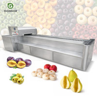 Machine à dénoyaouter les fruits, outil de séparation des noyaux de prune et de cerise, modèle multi-usages, vente chaude