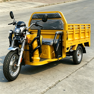 Tricycle cargo avec double certification EEC COC, boîte de chargement de 1,6 m, capacité de charge de 500 kg <span class=keywords><strong>pour</strong></span> le marché européen, 40 km/h - Product Image 4