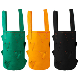 Sacchi per Coltivazione Invertita OEM DD1570 da 4, 7, 10 Galloni per Piantine, Fragole e Ortaggi con Foro - Product Image 2