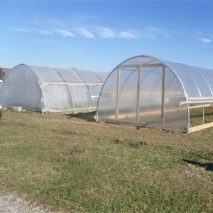 Serre arquée Poly Tunnel Green House Serres agricoles Vente d'occasion - Product Image 4