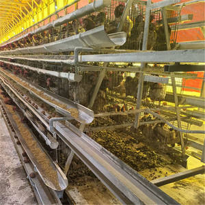 กรงไก่แบบ H 4 ชั้น อุปกรณ์ฟาร์มชุบสังกะสีแบบจุ่มร้อน อัตโนมัติ ทำความสะอาดมูล<span class=keywords><strong>ไก่</strong></span> <span class=keywords><strong>ราคา</strong></span><span class=keywords><strong>ถูก</strong></span>ใหม่ ใช้งานได้ยาวนาน - Product Image 1