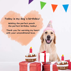 Juguete de Peluche de Lujo para Perros con Sonido, en Forma de Pastel de Cumpleaños, Duradero y Adorable, con Vela Decorativa, Regalo para Perros - Product Image 5