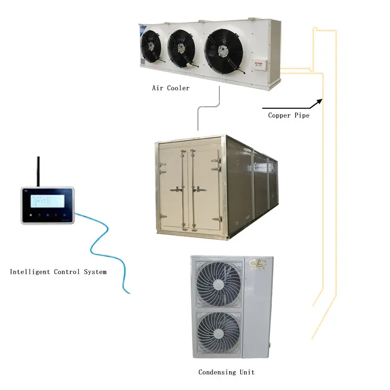 5HP Copeland compressore unità di condensazione per la refrigerazione camera fredda lato soffiare ventilatore