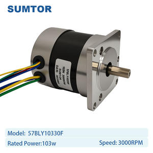 RV30直流减速电机蜗轮齿轮箱，带103瓦无刷直流电动蜗轮电机 - Product Image 2