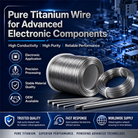Fil de titane pur à haute conductivité GR1 GR2 ASTM B863 pour cadre de semi-conducteurs, grille de tube à vide, électronique OEM