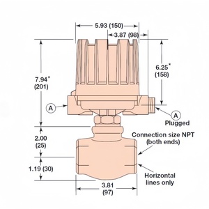 เครื่องวัดอัตราการไหลแบบอัลตราโซนิก MAGNETROL F50-1C2B-BKP 1-1 2" สำหรับยูเรีย - Product Image 5