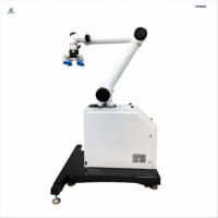 Robot de Paletización Automática para Almacén, de Instalación Rápida, con Caja de Plástico de Elevación Vertical y Operación Segura, Montado en el Suelo, para Palés Estándar