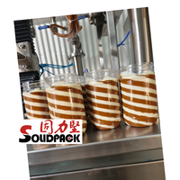 Machine de remplissage automatique Solidpack pour beurre de cacahuète, sauce chocolat, mayonnaise et crème bicolore