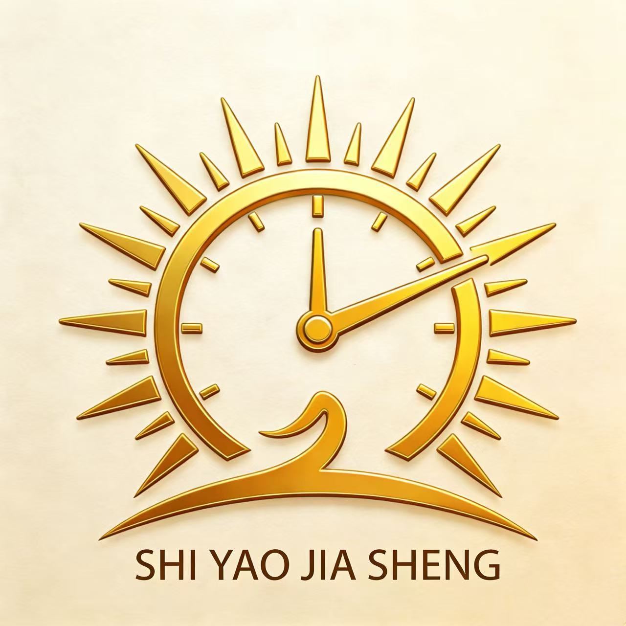 Quanzhou Shiyao Jiasheng Trading Co., Ltd. logo