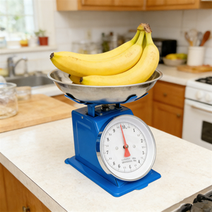 Veidt Weigh 10kg Kitchen <b>Mechanical</b> Dial <b>Scale</b> Household Spring Iron Metal Platform ZZSP-601-10kg Stainless Steel Tray a - Product Image 5