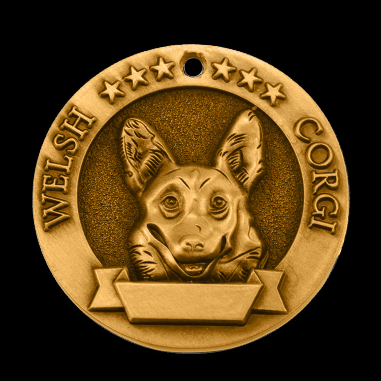 Corgi gallois