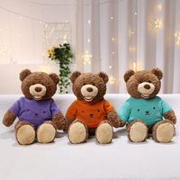 Peluche Ours Teddy Baby Belle avec pull, jouet en peluche, poupée, coussin à câliner