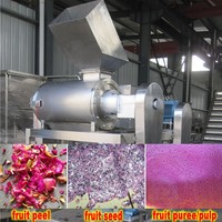 Dragon fruit peeling zaad verwijderen pulping machine
