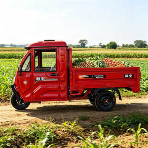 Tricycle cargo électrique à trois <span class=keywords><strong>roues</strong></span>, carrosserie fermée, 1000W, vélo électrique puissant - Product Image 4