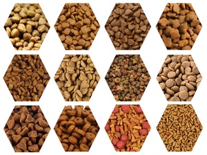 Extrudeuse automatique professionnelle pour aliments pour animaux de compagnie, grande capacité 500 kg/h, pour chats, poissons et chiens, ligne de traitement d'extrusion d'aliments neuve et d'occasion - Product Image 2