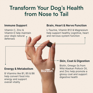Integratori Multivitaminici Masticabili per Cani e Gatti, Nutrizione Completa per il Supporto del Sistema Immunitario e la Mantenimento della Salute della Pelle - Product Image 2