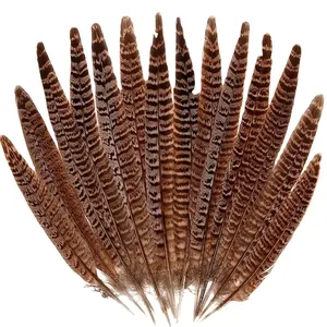 10-30cm (4-12in) plumas de cola larga de faisán natural plumas de cola de gallina para decoración de Carnaval accesorios de vestir