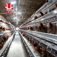 Cage à poules de type A galvanisée à chaud avec système d'alimentation et d'abreuvement automatique pour grande ferme avicole, cage à poules pondeuses, poulailler