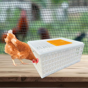 Jaula de Transporte de Animales Vivos para Granjas Avícolas, Tamaño Grande 750*550*320mm, Color Naranja, Jaulas de PP para Transporte de Pollos Vivos - Product Image 5