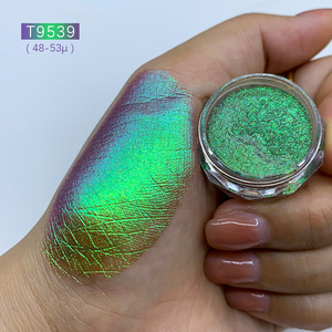 Hot bán giá rẻ giá mỹ phẩm Eyeshadow Tắc Kè Hoa thay đổi màu sắc lỏng sắc tố bột màu móng tay sắc tố sơn xe sắc tố - Product Image 5