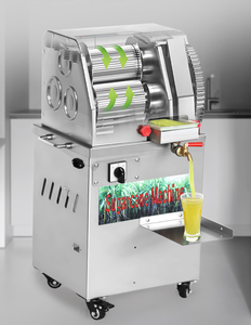 Extractor de Jugo de Caña de Azúcar Mini de Acero Inoxidable, con Motor de 450W, Fácil de Operar, Superventas - Product Image 4