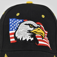 Casquettes de baseball unisexes avec broderie d'aigle américain, chapeau de protection solaire décontracté réglable pour le printemps et l'automne