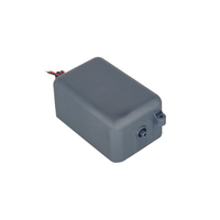 Pompe à air à ozone 8L 15L 20L générateur d'ozone Mini compresseur de pompe à air électrique