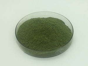 Grosir penjualan terbaik ekstrak kelor alami bubuk daun kelor kering murni - Product Image 3