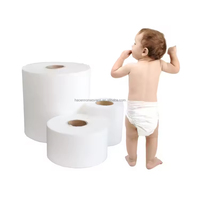 100% PP Spunbond Vliesstoff Custom TNT für Baby windeln Pet Pads Damen binden