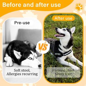 القط والكلب بروبيوتيك المناعي يمضغ القناة الهضمية الصحية تعزيز المكملات الغذائية للعناية المثلى بالعين - Product Image 4