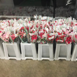 Secchi danesi quadrati di plastica di grandi dimensioni per il secchio del flor center - Product Image 2