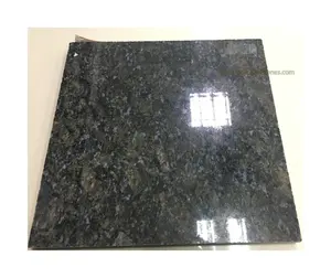 China Exotic Black Blue Butterfly Granite Countertops Floor Wall Tiles For Subway Station Facade Stone