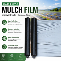 Film de paillage noir en LDPE haute résistance, traité anti-UV, pour agriculture et serres
