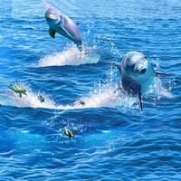 Autocollants antidérapants Creative Saut Dauphin Photo Papier Peint 3d Plancher Mural Amovible Autocollant De Sol