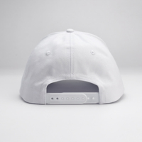 Hoge kwaliteit vintage buckram gestructureerde terry cap met geborduurd fruitlogo, gebogen klep, 6 panelen, sport baseball cap