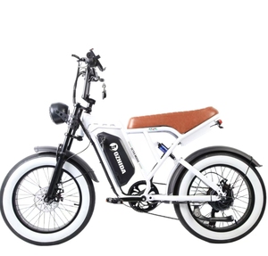 Bicicleta Eléctrica Deportiva de Alta Velocidad con Llantas para Nieve de 20 Pulgadas, Batería de Litio de 48V 15Ah, Suspensión Completa, Frenos de Disco Mecánicos y Motor sin Escobillas - Product Image 6
