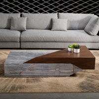 Table Basse de Salon Design Moderne Tables Basses en Marbre Style Italien Luxe Intérieur 1 Ensemble Bois Comme Échantillon