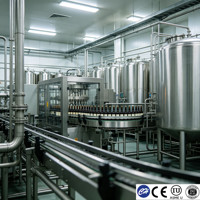 Tanque de Producción de Cerveza de Acero Inoxidable Sanitario con Certificación CE de 200L, Fabricante Personalizado